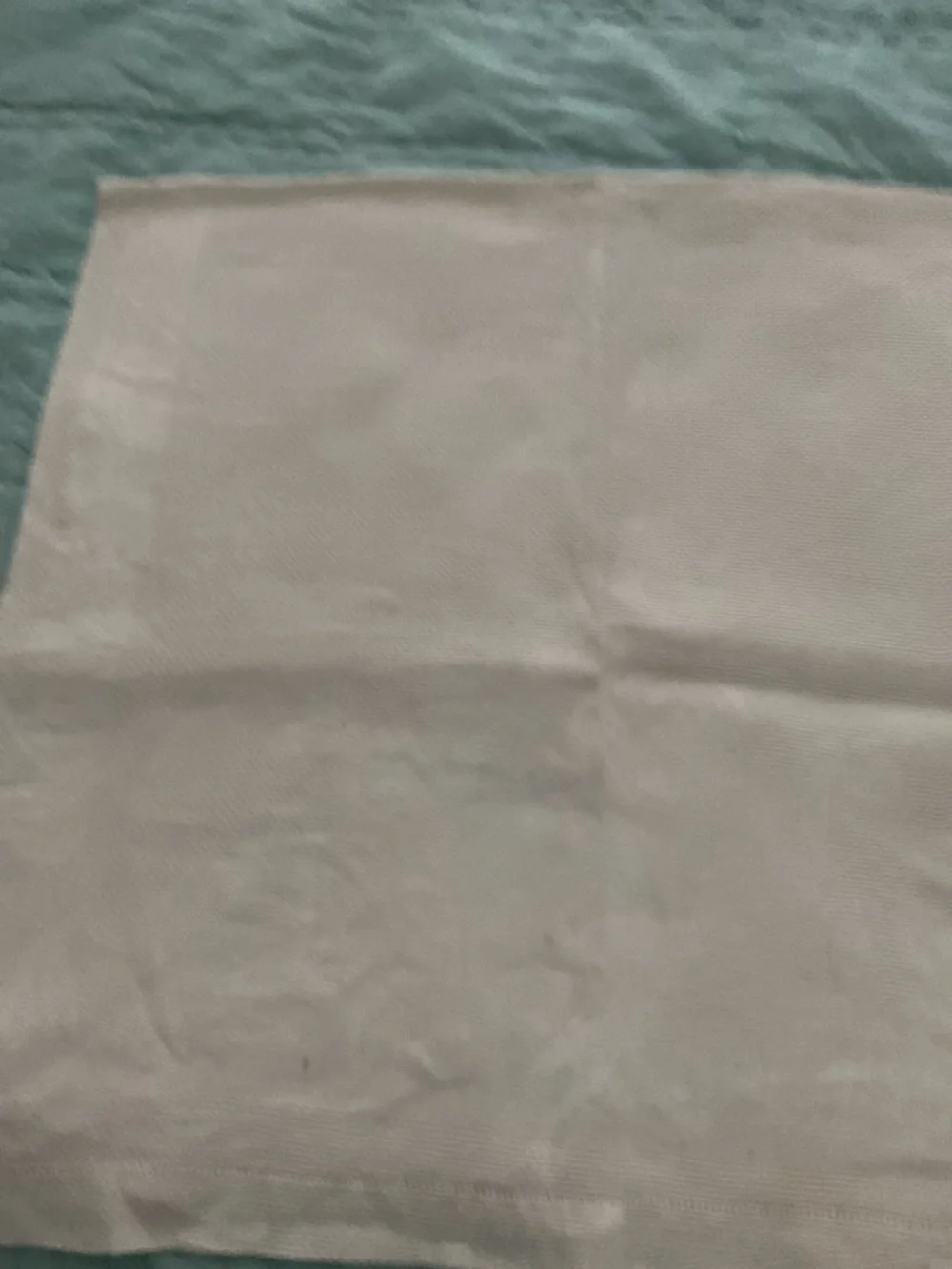 LINEN Hand Towels - 2